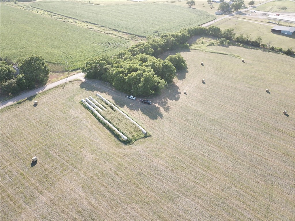 N/a Willie Young Road Mart, TX 76664 - Photo 8 of 12