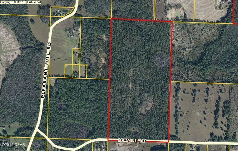 0 Leavins Road Bonifay, FL 32425 - Photo 1 of 2 Gallery Image 1