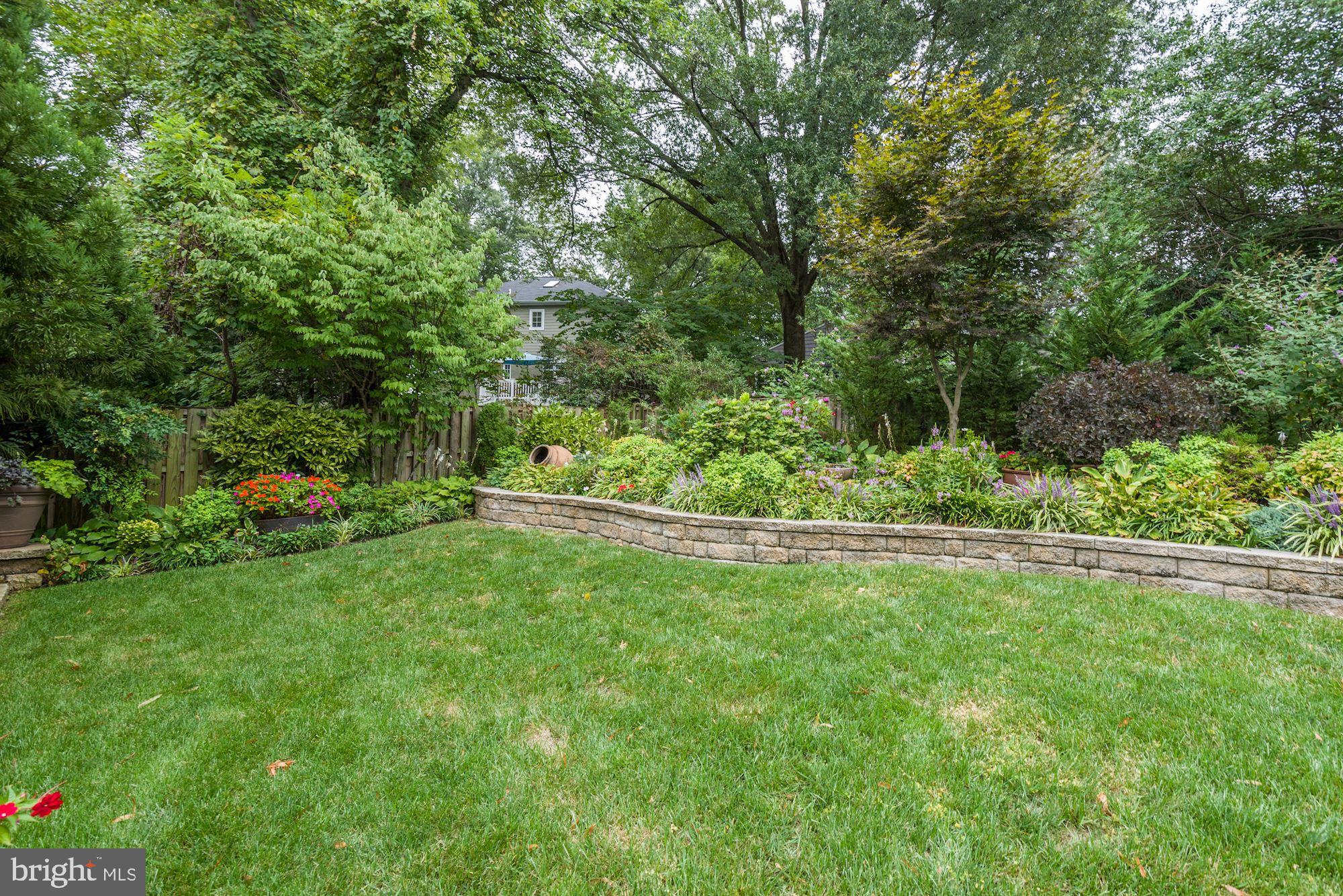 3707 Jones Bridge Road Chevy Chase, MD 20815 - Photo 56 of 71