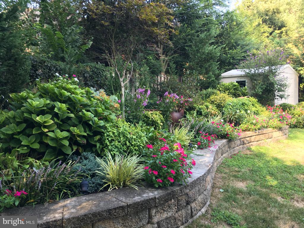 3707 Jones Bridge Road Chevy Chase, MD 20815 - Photo 57 of 71