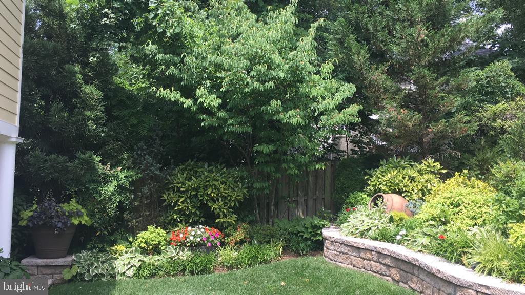 3707 Jones Bridge Road Chevy Chase, MD 20815 - Photo 58 of 71