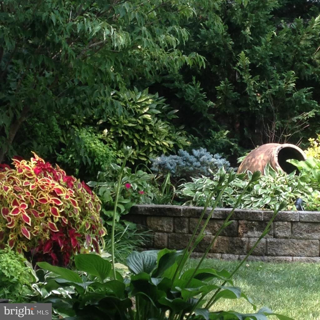 3707 Jones Bridge Road Chevy Chase, MD 20815 - Photo 59 of 71