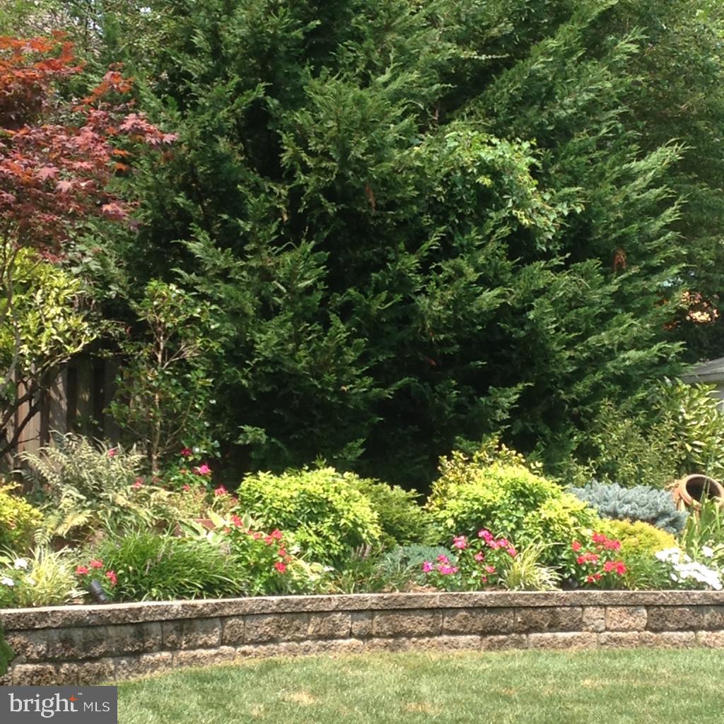 3707 Jones Bridge Road Chevy Chase, MD 20815 - Photo 60 of 71