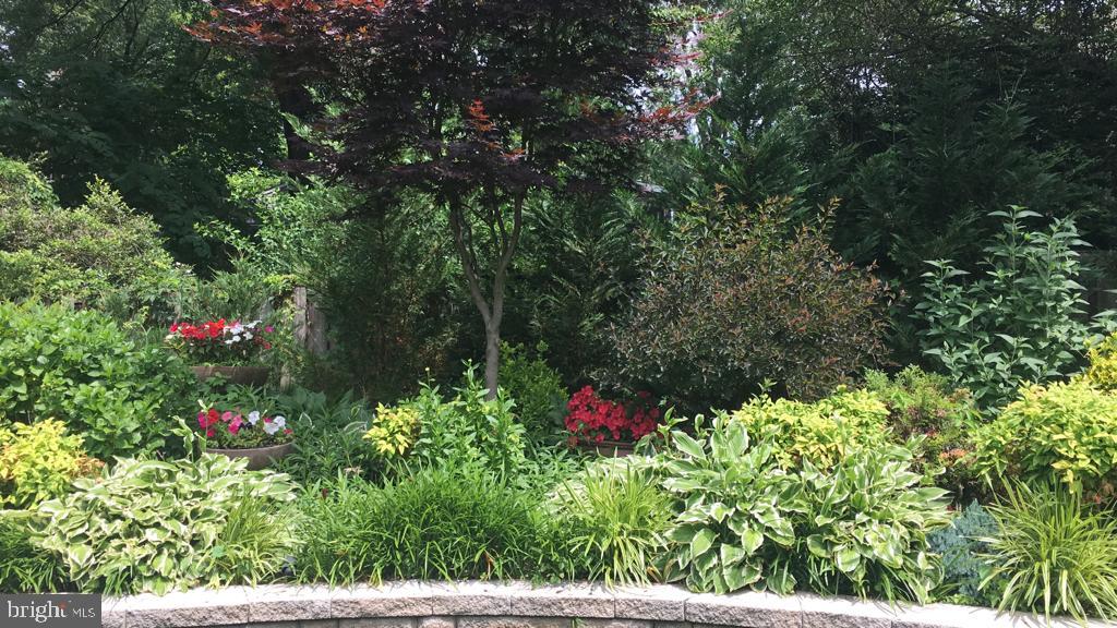 3707 Jones Bridge Road Chevy Chase, MD 20815 - Photo 62 of 71