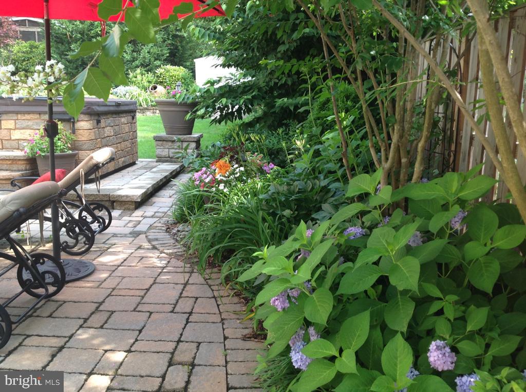 3707 Jones Bridge Road Chevy Chase, MD 20815 - Photo 64 of 71