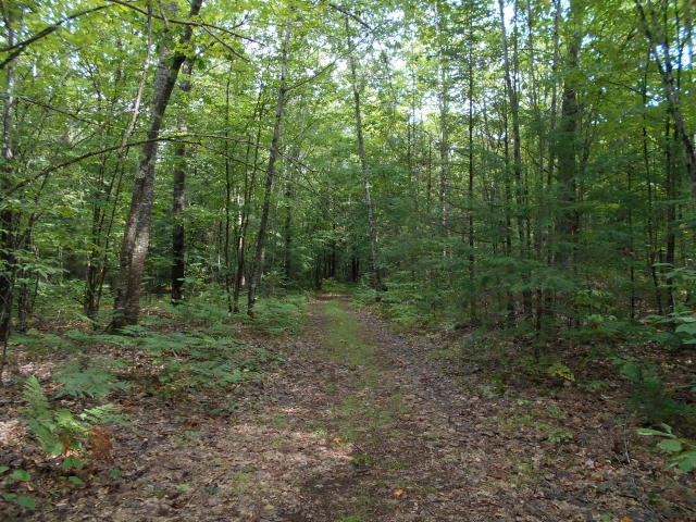 216 Perkins Road Burnham, ME 04922 - Photo 7 of 26 burnham 10