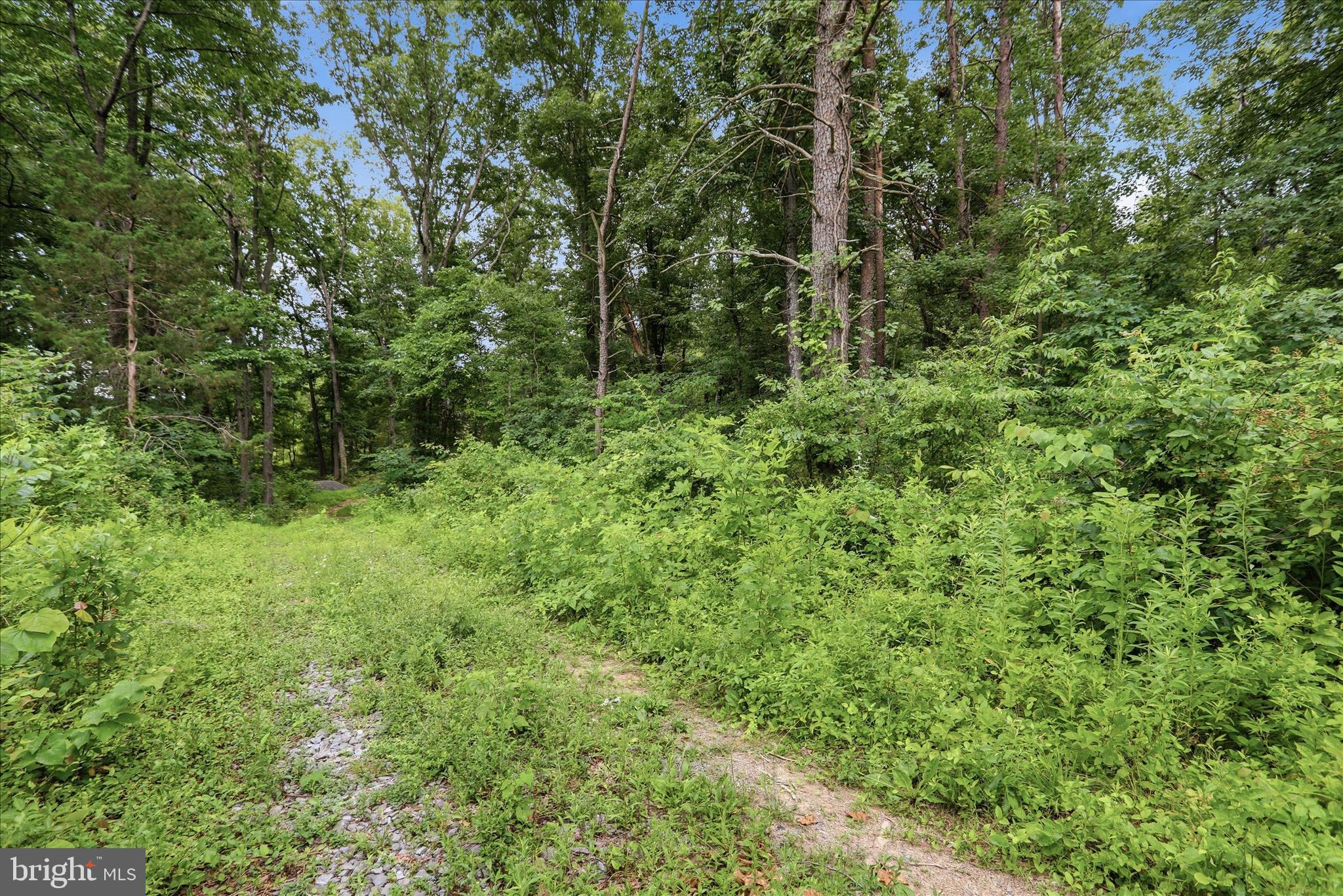 Messick Road Strasburg, VA 22657 - Photo 4 of 22
