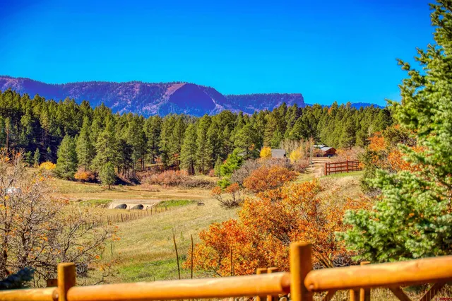 a view of a yard with a lake view