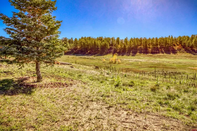 a view of a yard with swimming pool and outdoor space