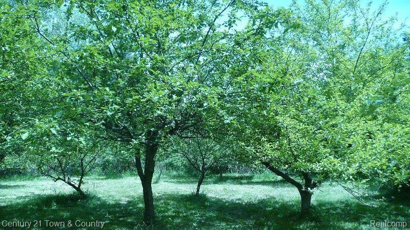 695 East Square Lake Road Troy, MI 48085 - Photo 11 of 11 Orchard