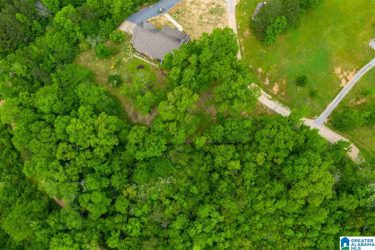 334 Old Eason Road Pell City, AL 35128 - Photo 38 of 47