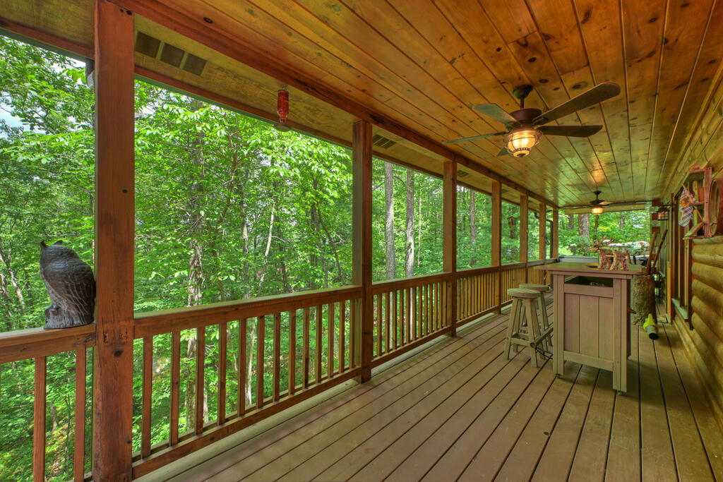 9 Casey Court Blue Ridge, GA 30513 - Photo 17 of 52 Gallery Image 17