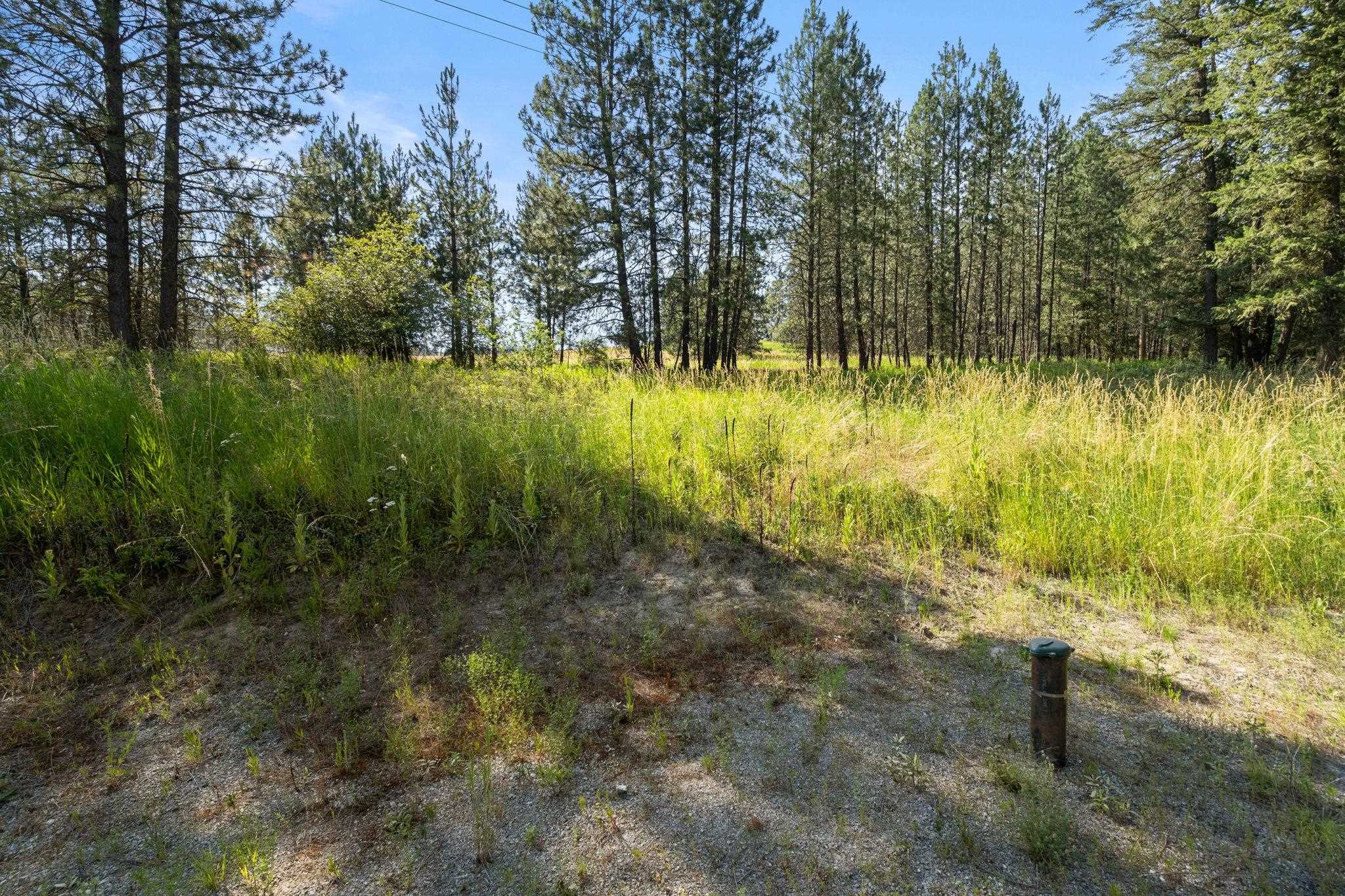 Xxx North Madison Road Mead, WA 99021 - Photo 8 of 25