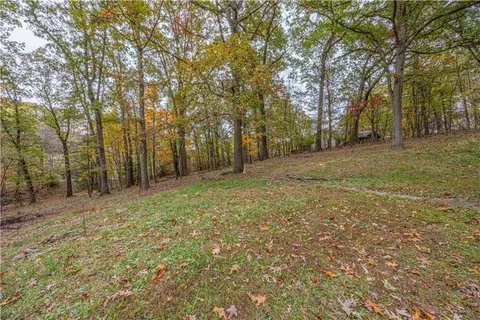a view of a yard with trees