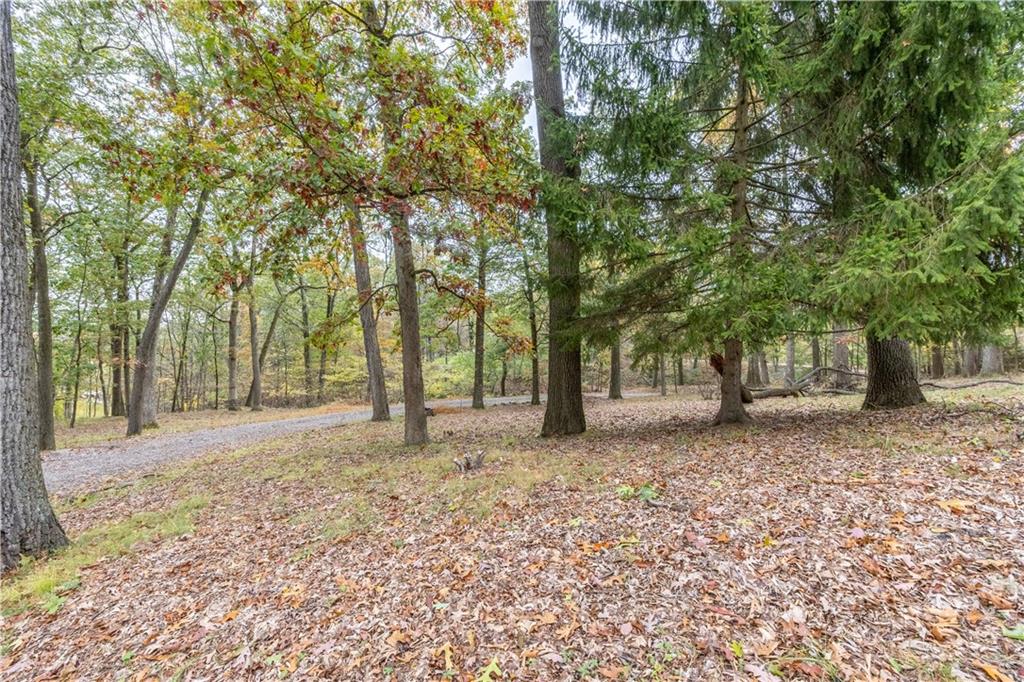 1194 Donnellville Road Natrona Heights, PA 15065 - Photo 19 of 20 a backyard of a house with lots of green space