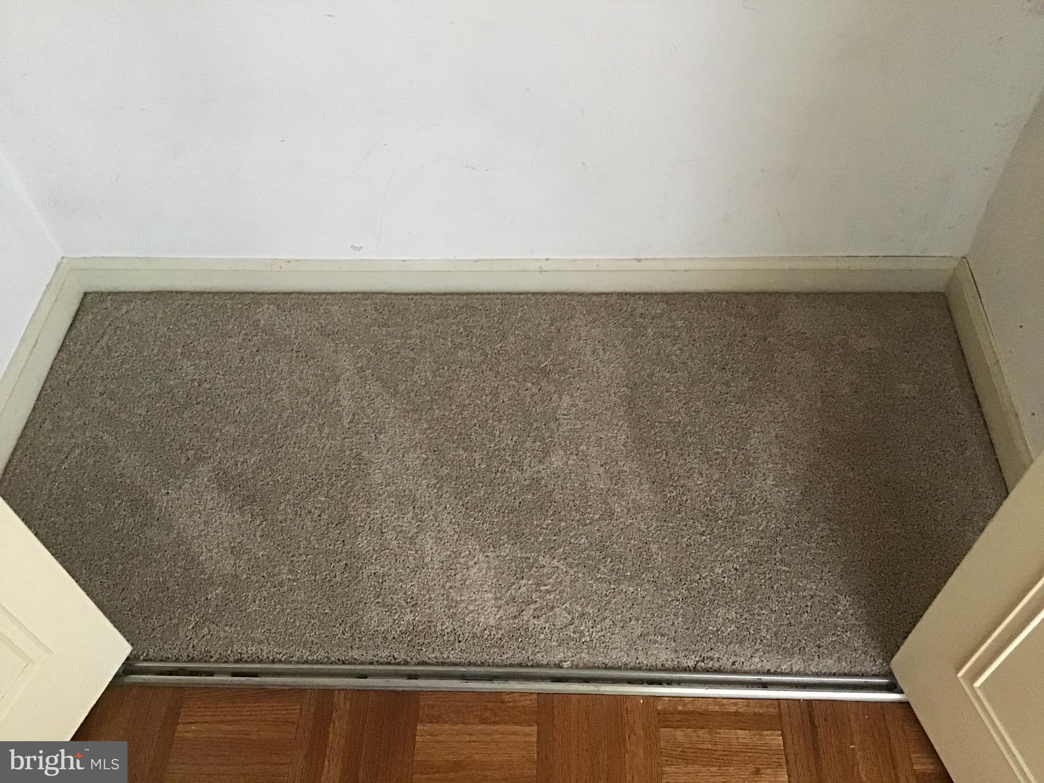 49 Par Drive Reading, PA 19607 - Photo 21 of 37 Carpet color for entry closet and LR/DR(new)
