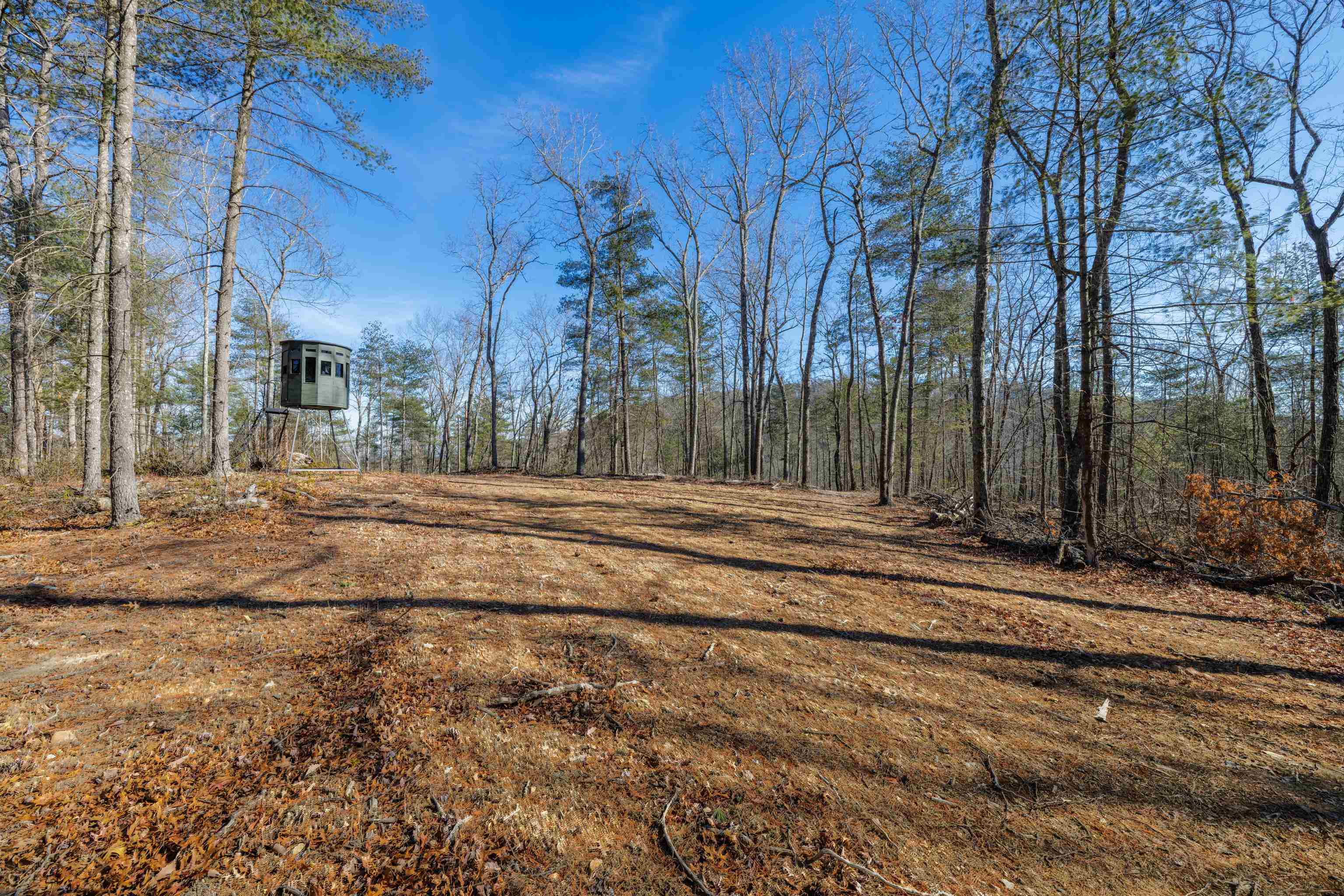 a view of a backyard of the house