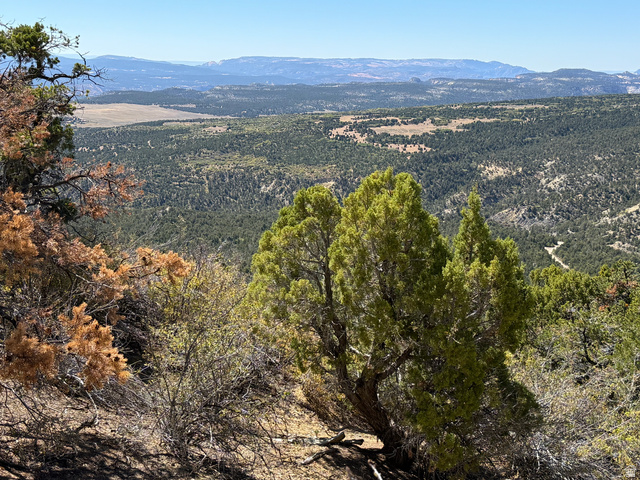 4 Mineral Springs Road Mount Carmel, UT 84755 - Photo 5 of 15