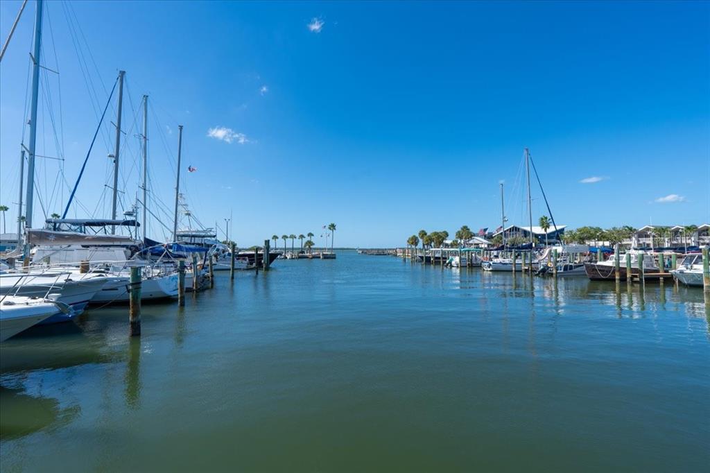 821 Patricia Avenue, Unit 202 Dunedin, FL 34698 - Photo 32 of 37 a view of water with boats and trees in the background