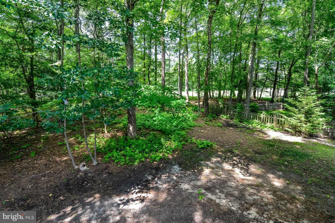267 Windjammer Road Ocean Pines, MD 21811 - Photo 9 of 54