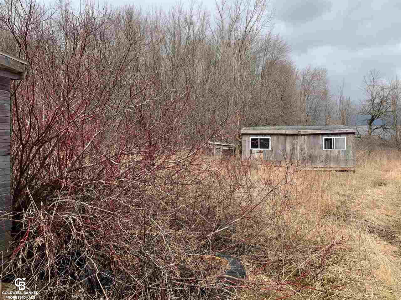 0 Oatman Road Avoca, MI 48006 - Photo 5 of 6