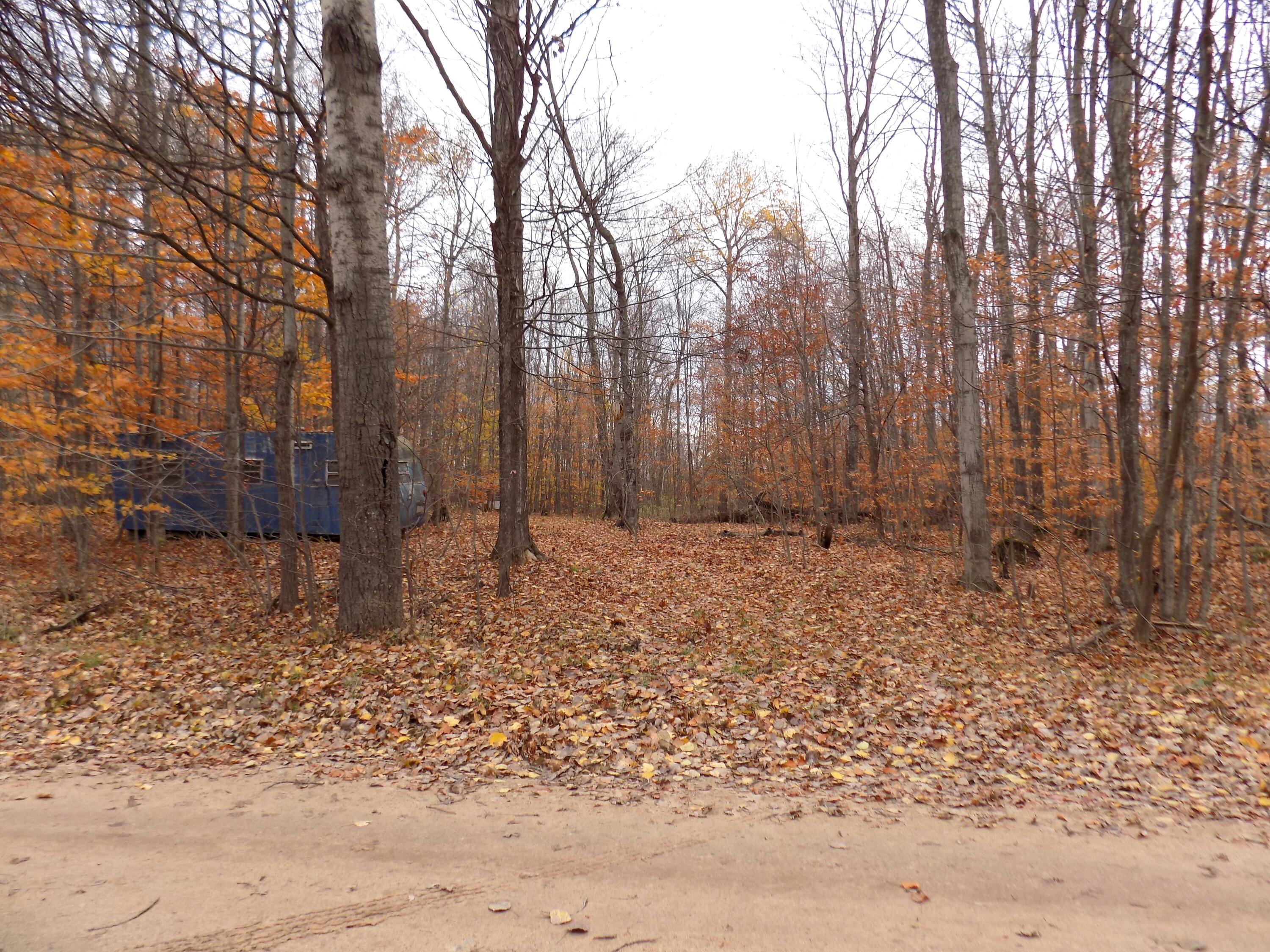 2768 Division Road Pellston, MI 49769 - Photo 14 of 15 Gallery Image 14