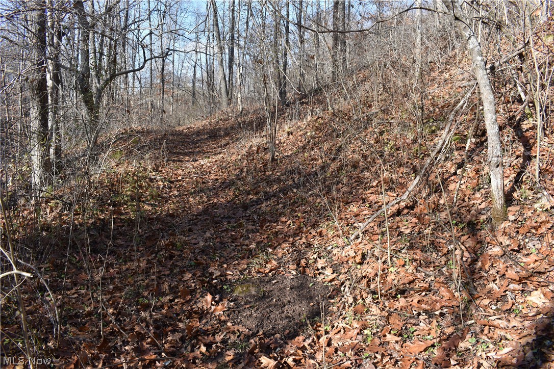 260 Rear State Route Lower Salem, OH 45745 - Photo 24 of 32 Gallery Image 24