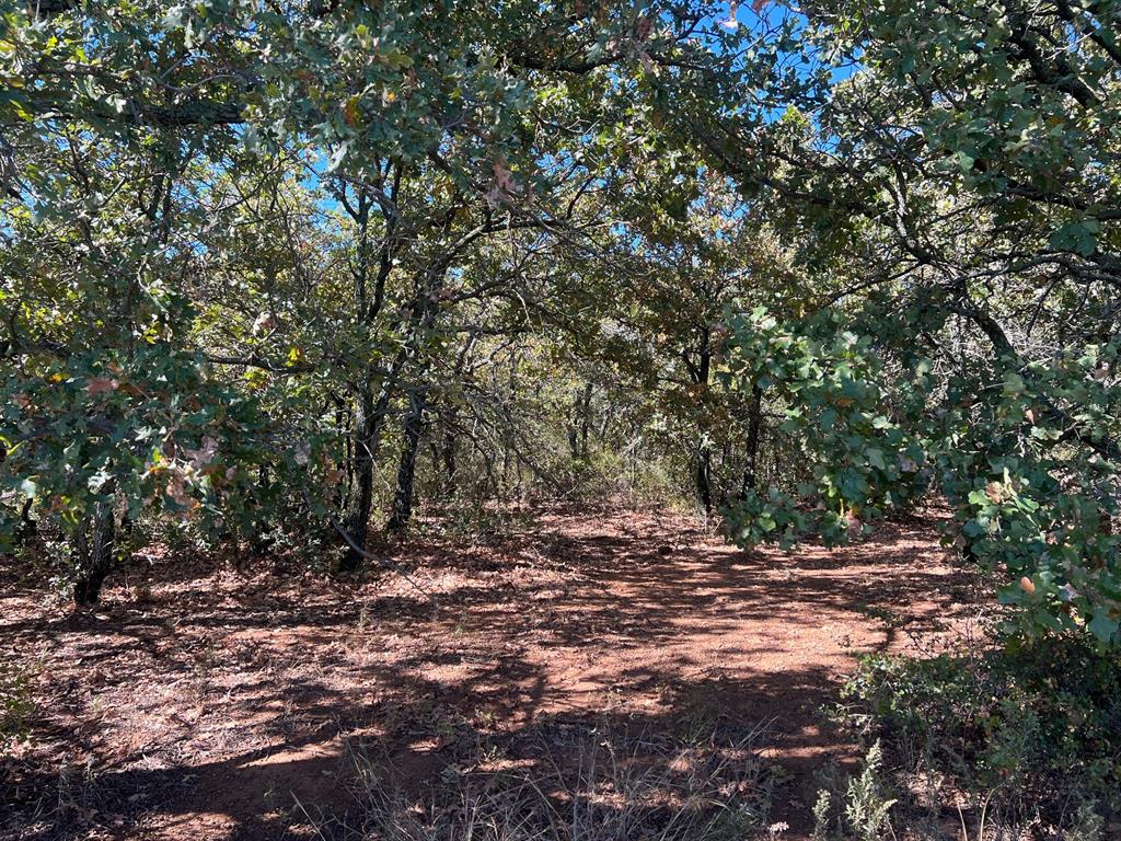Tbd Uselton Road Loving, TX 76460 - Photo 20 of 26