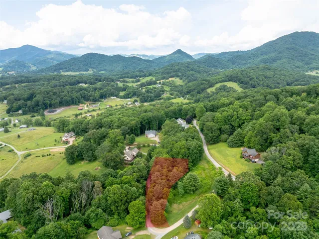 a view of a lush green field with mountains in the background