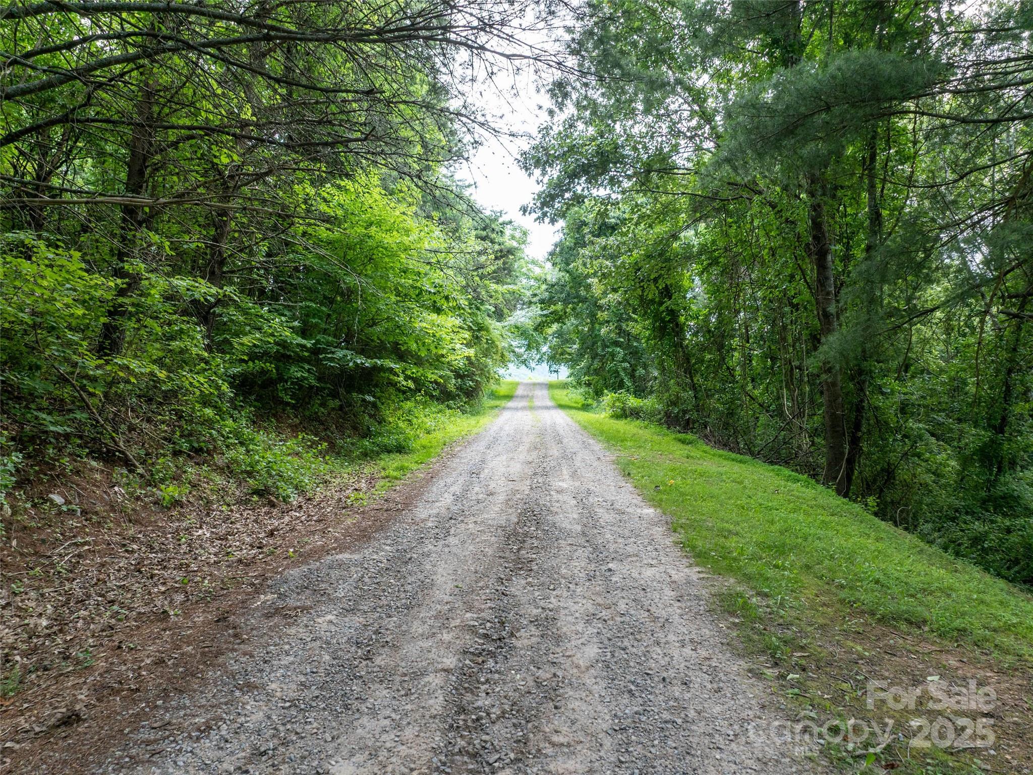 40 Sedgefield Place Clyde, NC 28721 - Photo 11 of 15 a view of a road with a yard