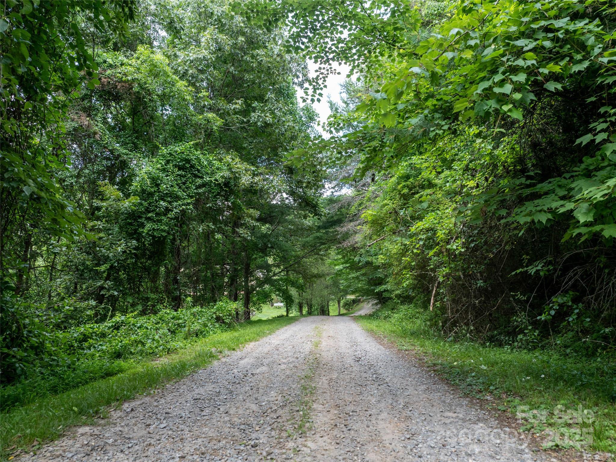 40 Sedgefield Place Clyde, NC 28721 - Photo 12 of 15 a view of a yard with a trees