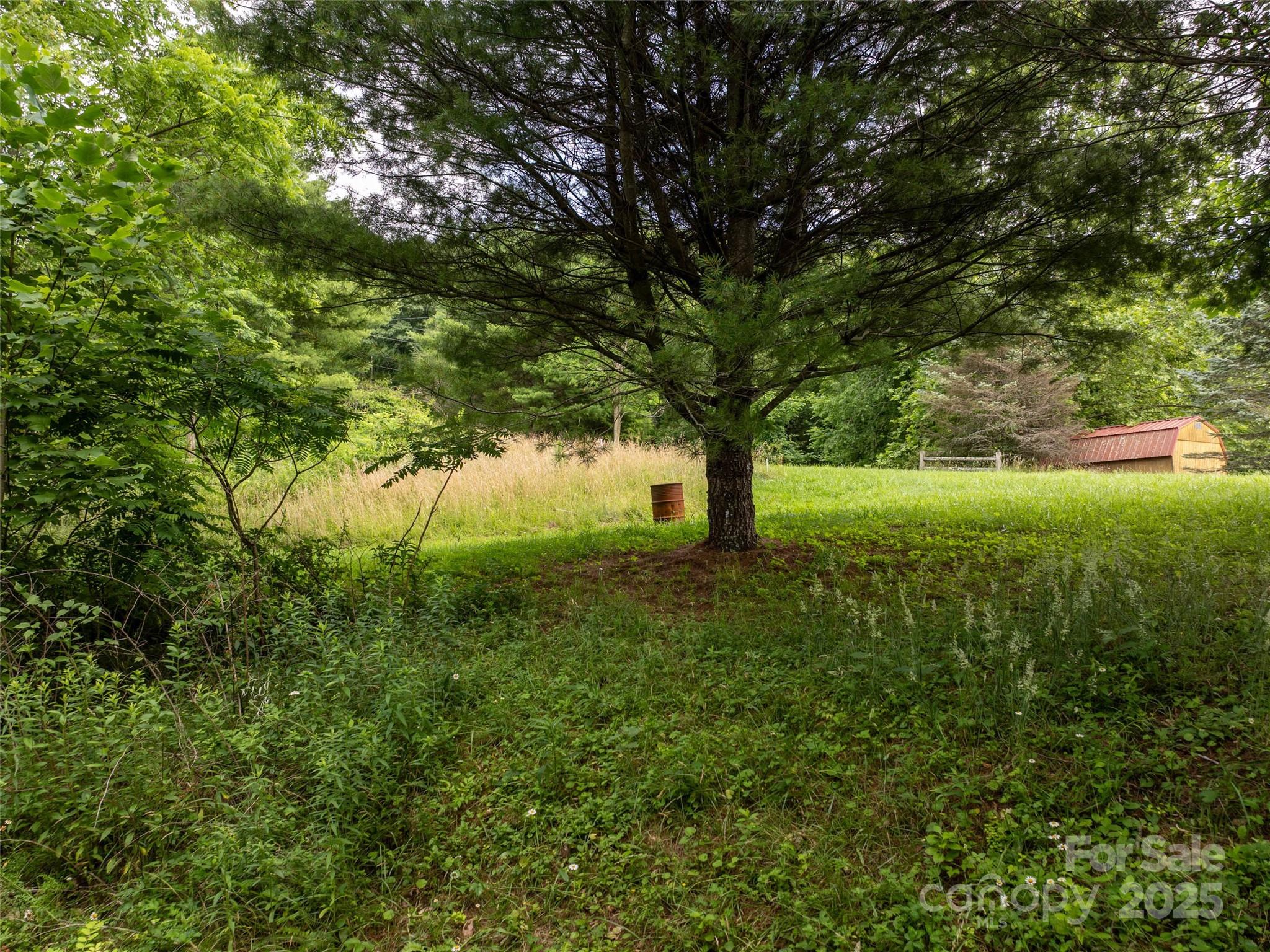 40 Sedgefield Place Clyde, NC 28721 - Photo 13 of 15