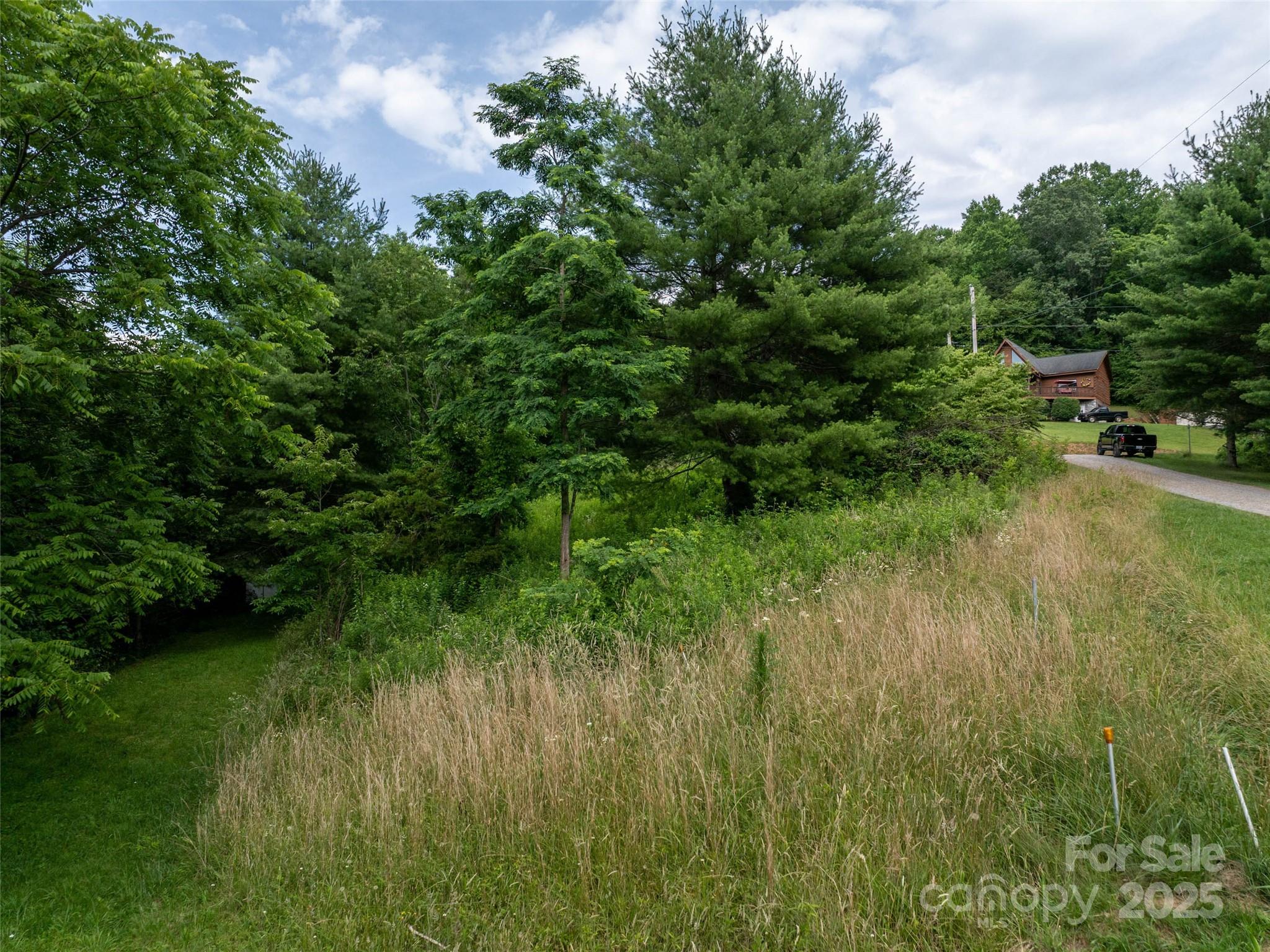 40 Sedgefield Place Clyde, NC 28721 - Photo 14 of 15 a view of a lush green space