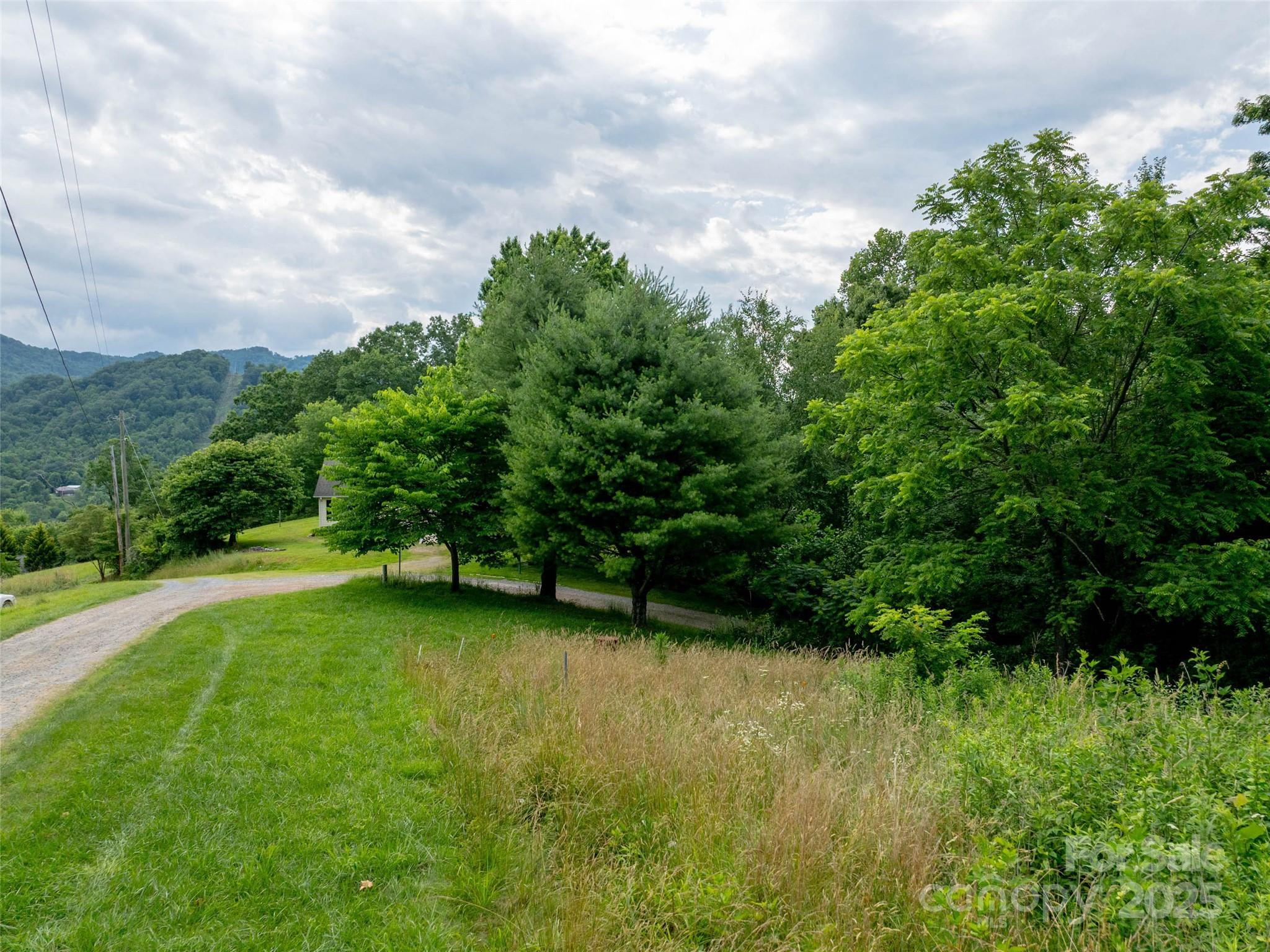 40 Sedgefield Place Clyde, NC 28721 - Photo 3 of 15 a view of a green yard