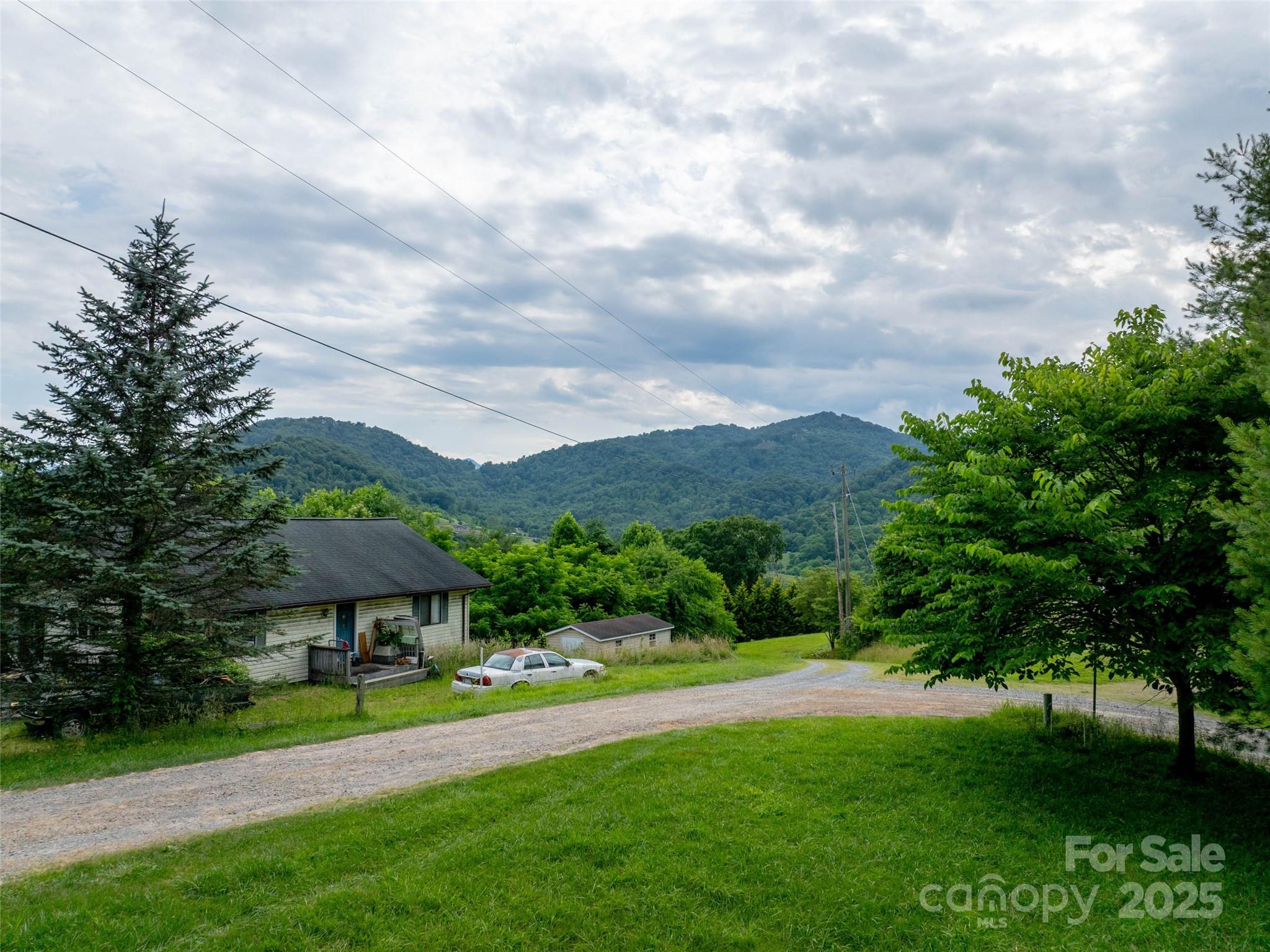40 Sedgefield Place Clyde, NC 28721 - Photo 4 of 15 a view of a big house with a big yard and potted plants and large trees