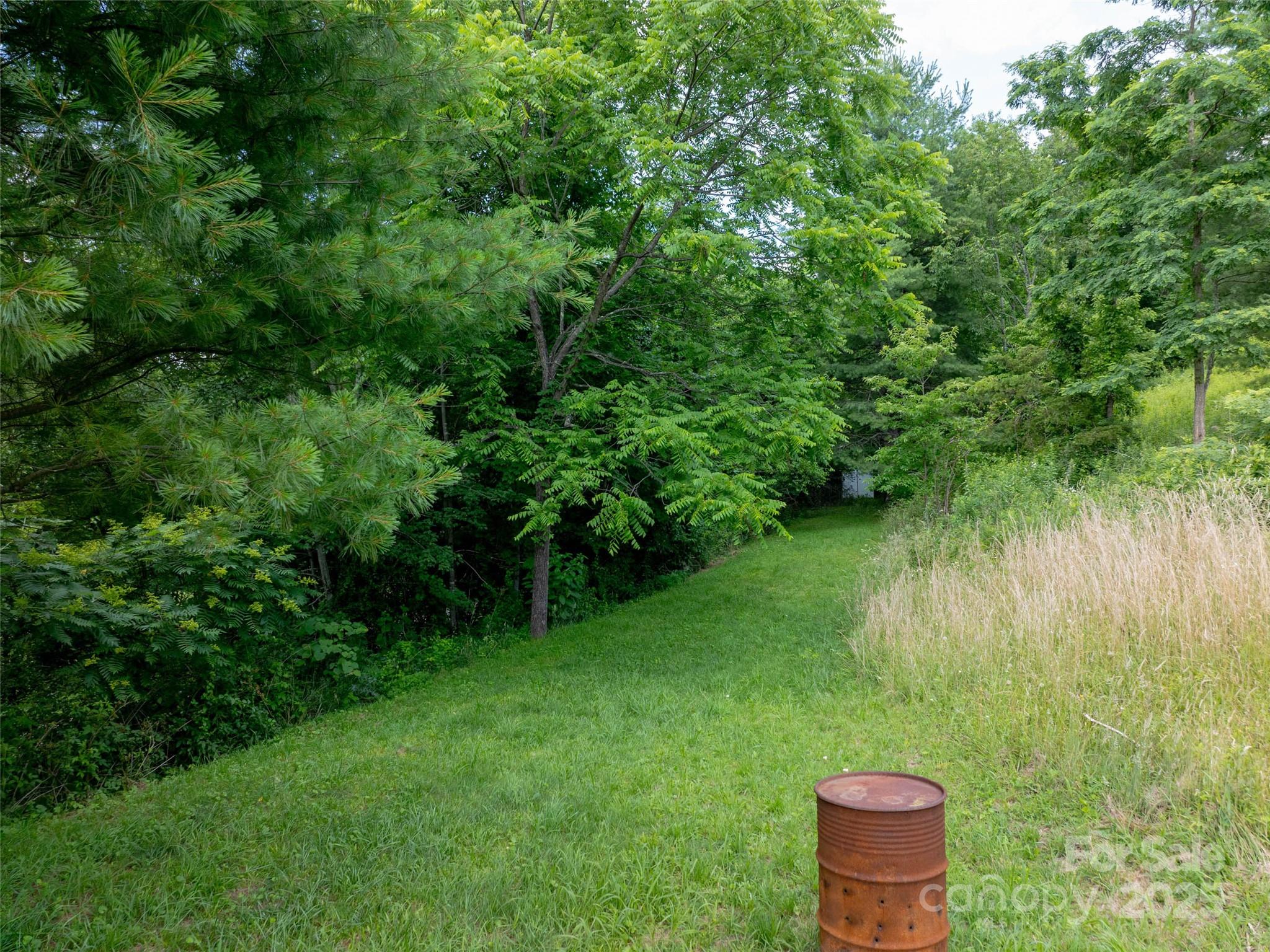 40 Sedgefield Place Clyde, NC 28721 - Photo 5 of 15 a backyard of a house with lots of green space