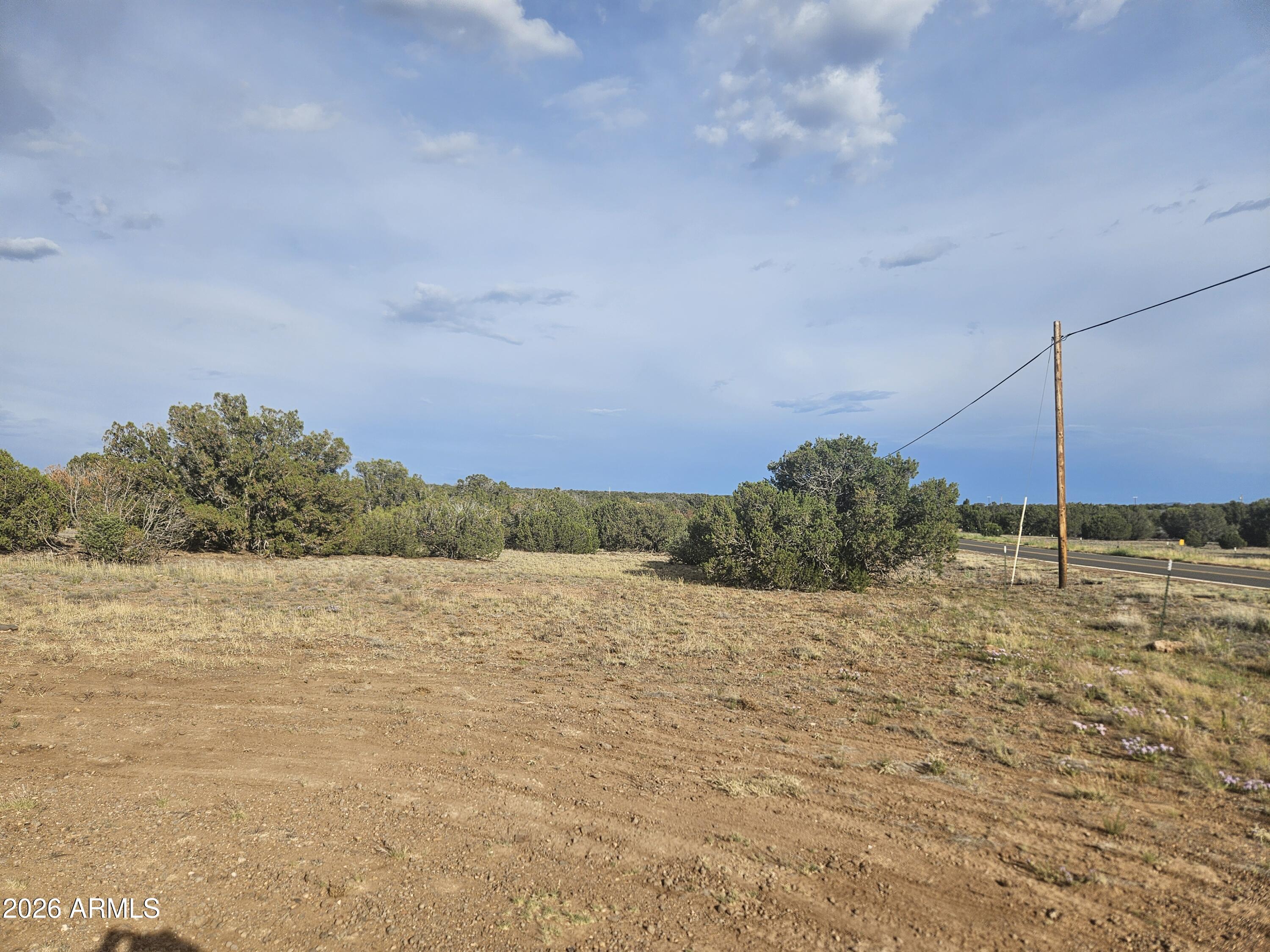 2429 Bourdon Ranch Road, Unit F Show Low, AZ 85901 - Photo 9 of 11