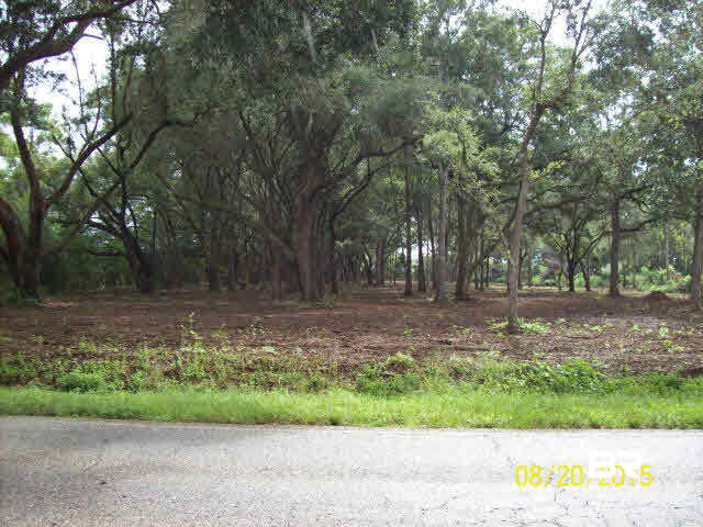 0 South County Road 49 South Foley, AL 36535 - Photo 2 of 4