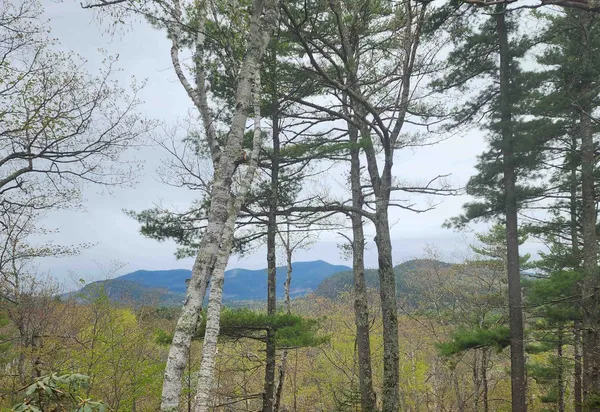 $165,000 | 0 Moat Mountain Circle Road, Intervale, NH 03845