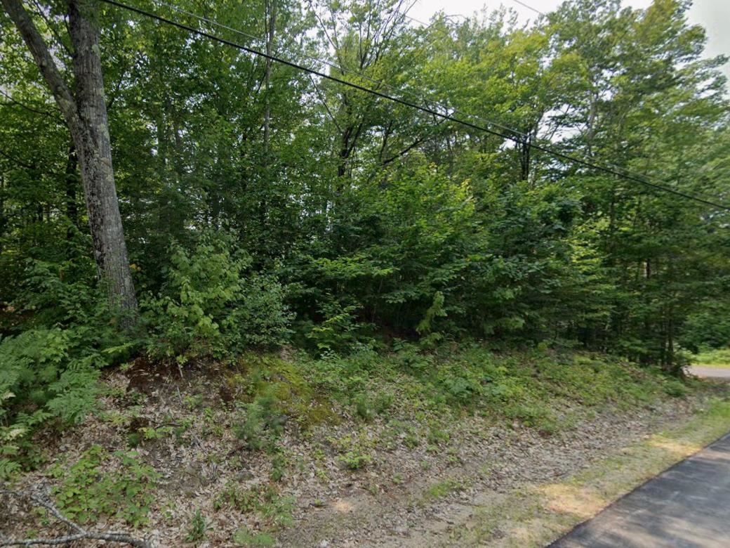 0 Moat Mountain Circle Road Intervale, NH 03845 - Photo 12 of 13