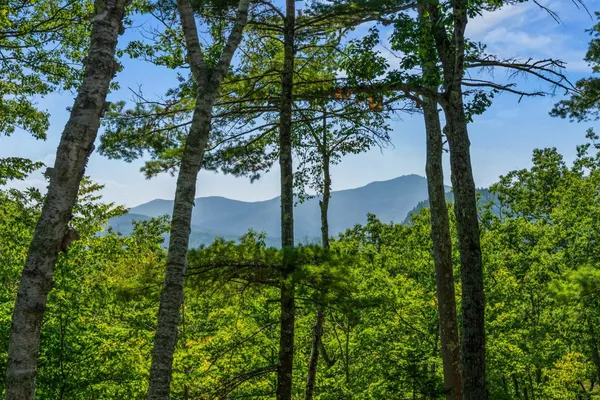 $165,000 | 0 Moat Mountain Circle Road, Intervale, NH 03845