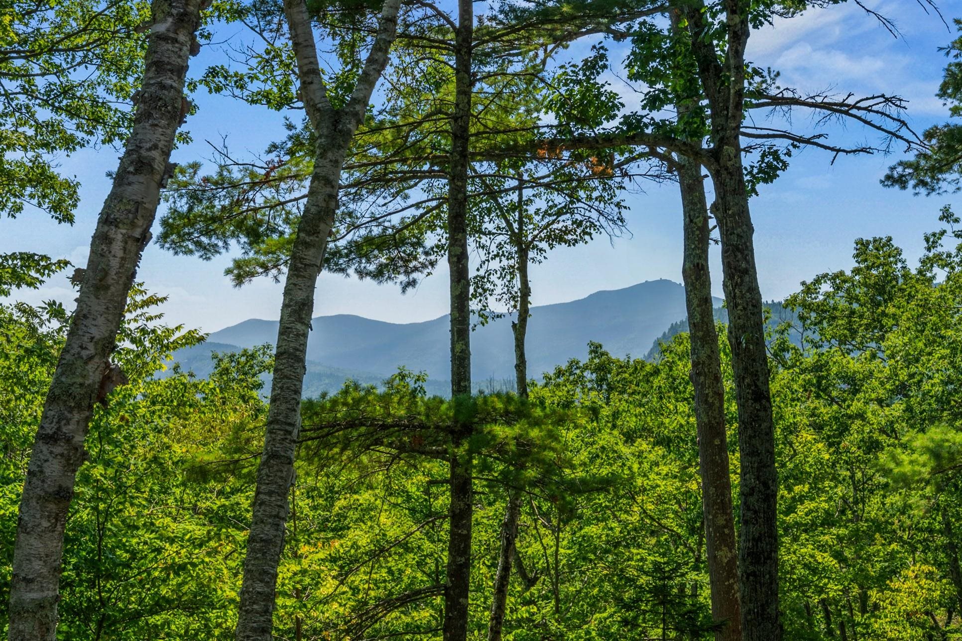 0 Moat Mountain Circle Road Intervale, NH 03845 - Photo 10 of 13