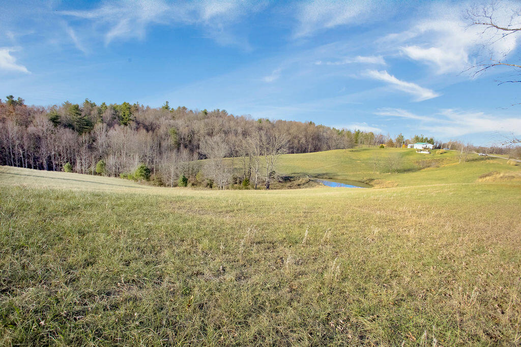 1006 Heizer Hill Road Wellington, KY 40387 - Photo 17 of 29 0V6A9858