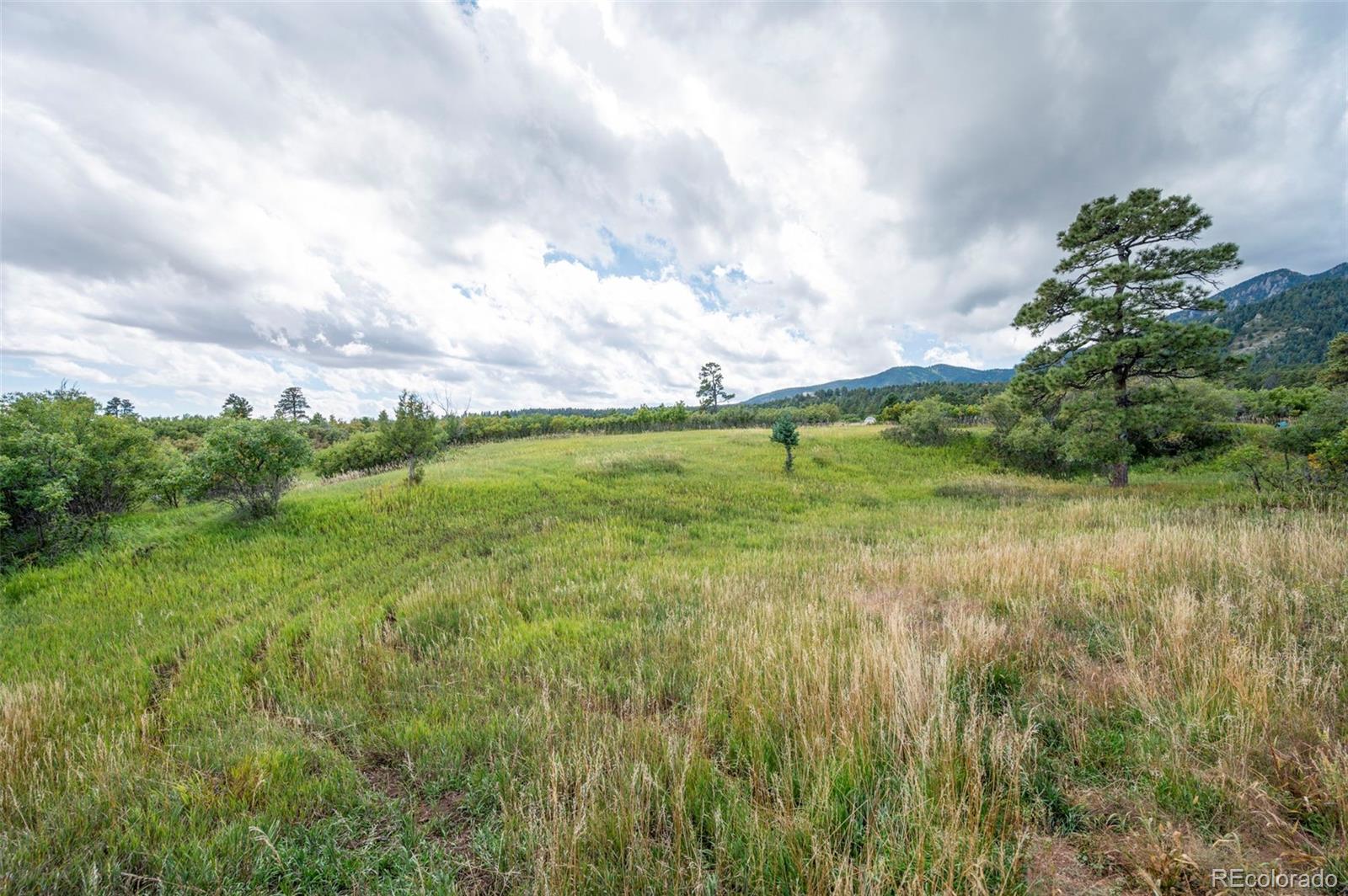 10650 Baxter Road Rye, CO 81069 - Photo 42 of 50 a backyard of a house with lots of green space