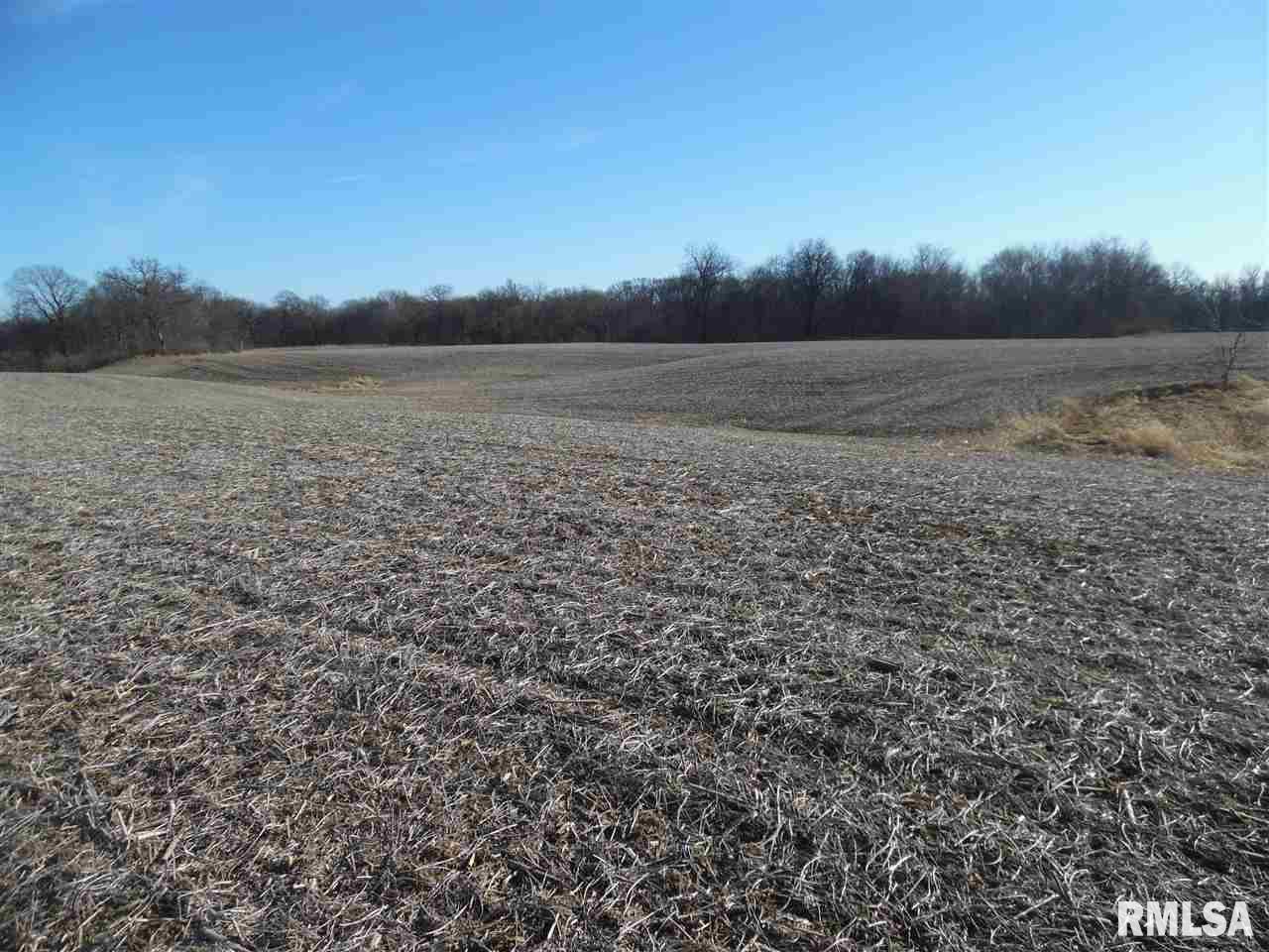 78 Illinois Route Chandlerville, IL 62627 - Photo 5 of 9