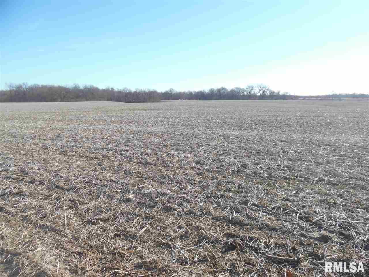 78 Illinois Route Chandlerville, IL 62627 - Photo 6 of 9