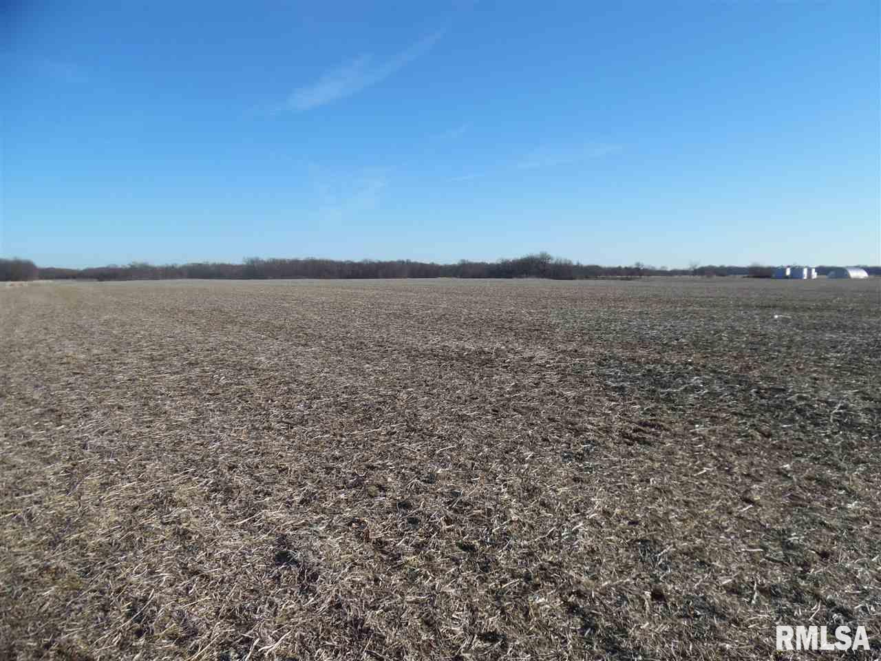 78 Illinois Route Chandlerville, IL 62627 - Photo 7 of 9