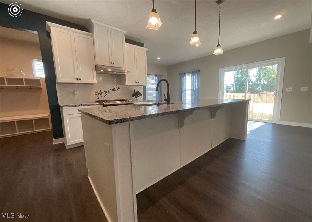 4659 Newcomer Road Kent, OH 44240 - Photo 5 of 23 Kitchen featuring dark hardwood / wood-style flooring, white cabinetry, a kitchen island with sink, pendant lighting, and sink