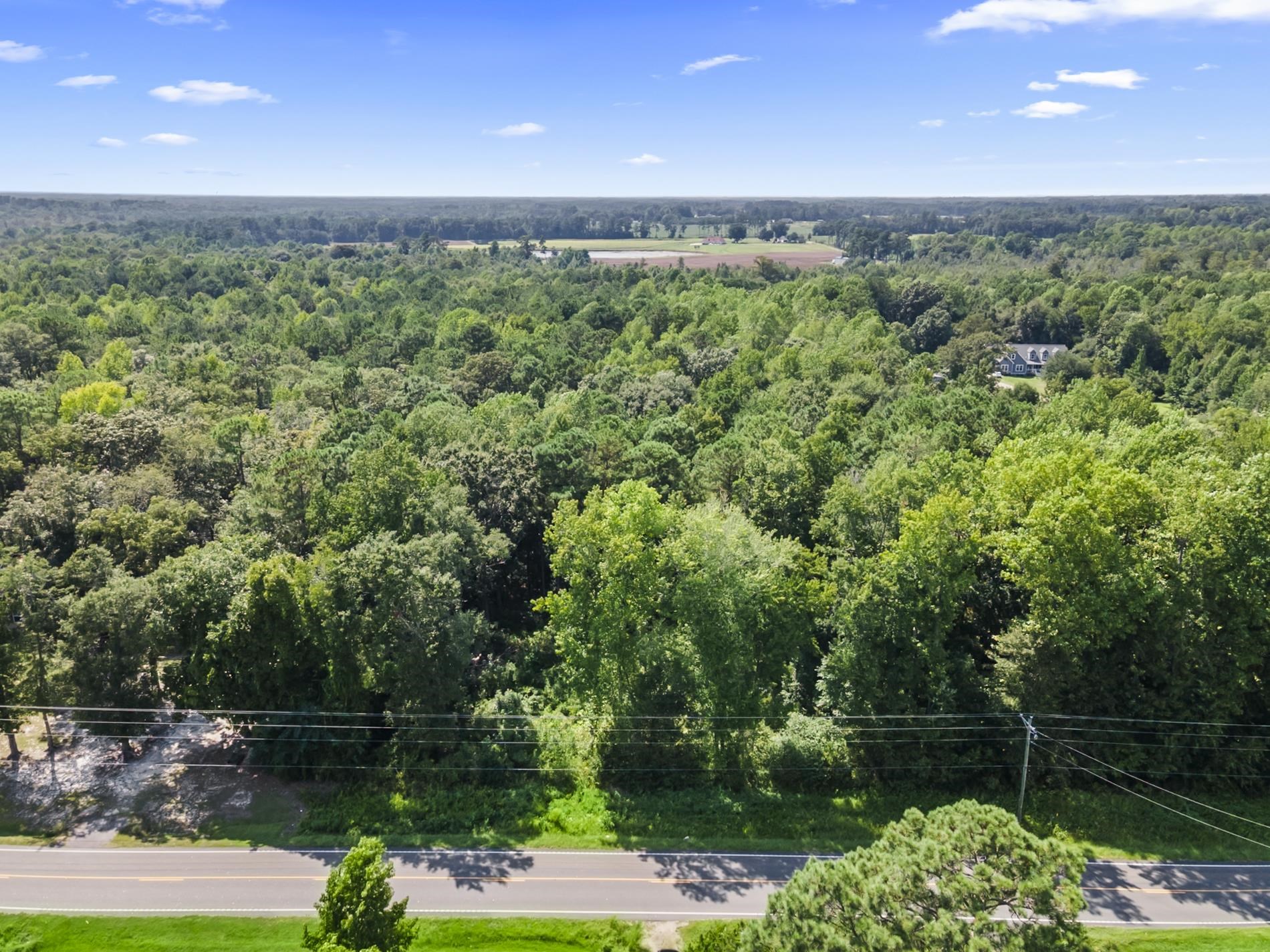 1658 Cane Branch Road Loris, SC 29569 - Photo 4 of 8 Gallery Image 4