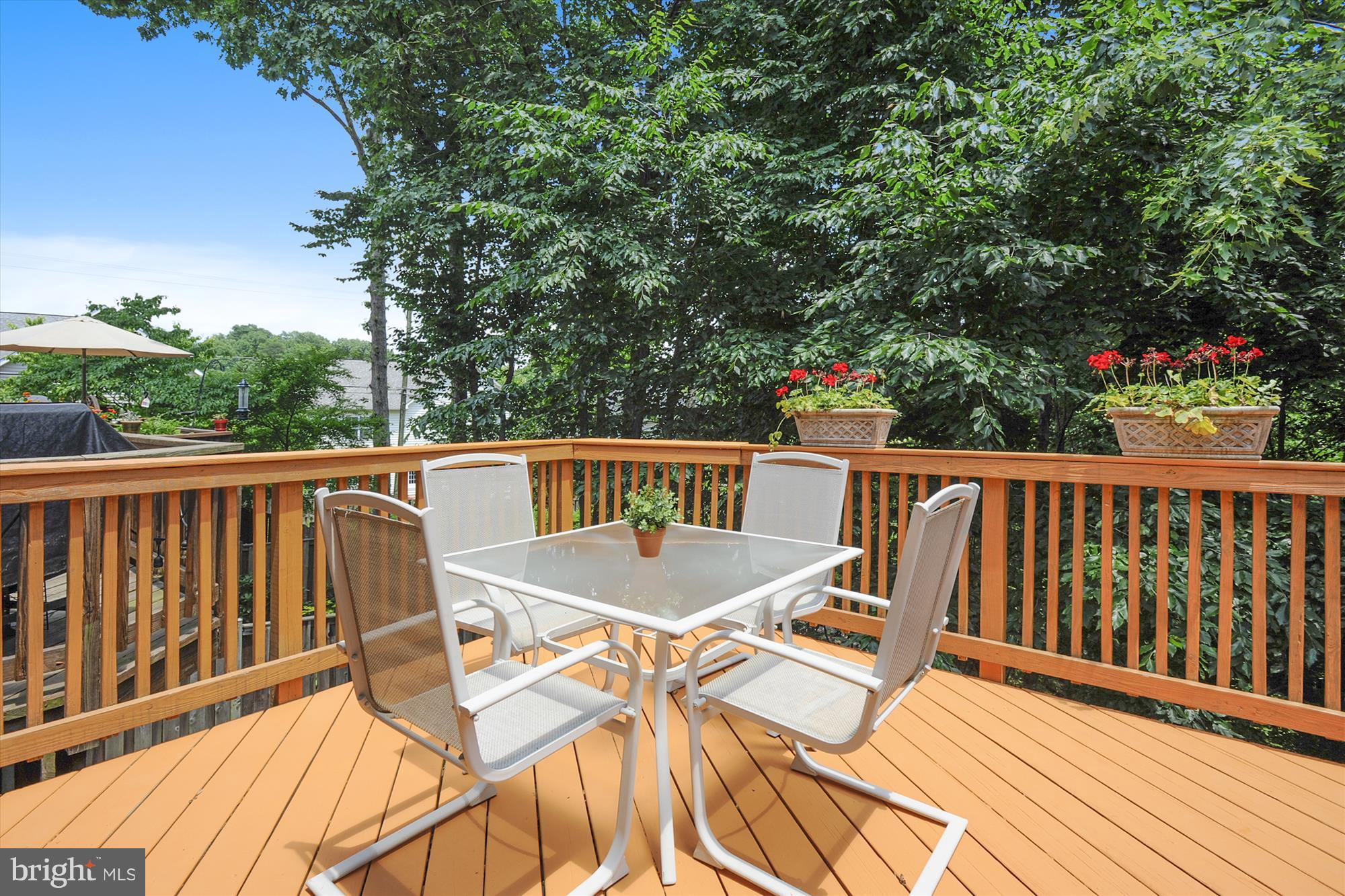 8428 Springfield Oaks Drive Springfield, VA 22153 - Photo 11 of 30 New sliding door opens to spotless painted deck